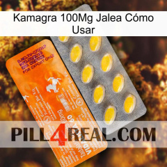 Kamagra 100Mg Jalea Cómo Usar new05